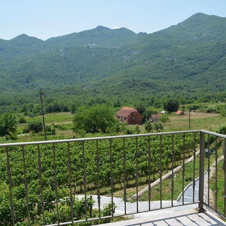 Markovic Winery And Estate Apartments 采蒂涅 外观 照片