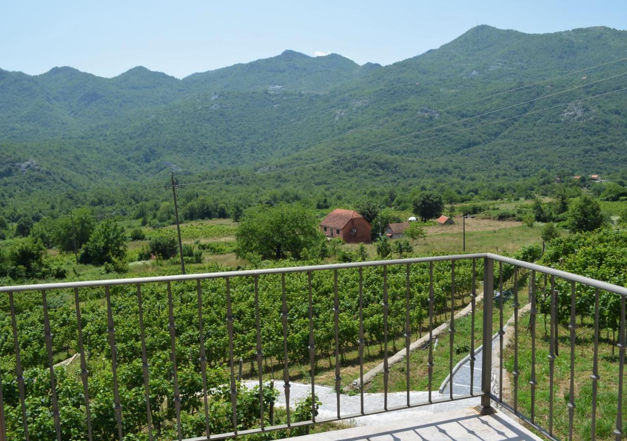 Markovic Winery And Estate Apartments 采蒂涅 外观 照片