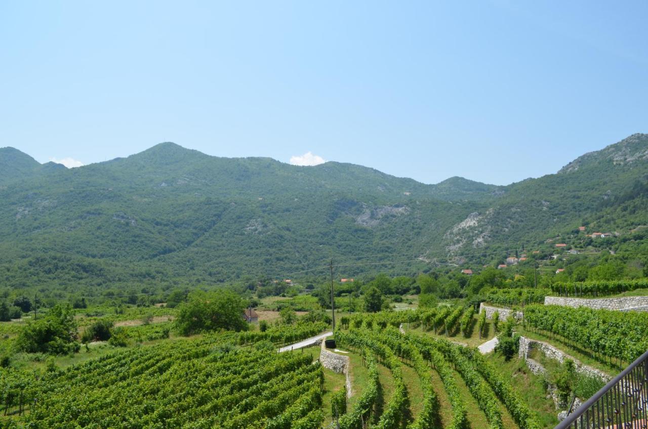 Markovic Winery And Estate Apartments 采蒂涅 外观 照片