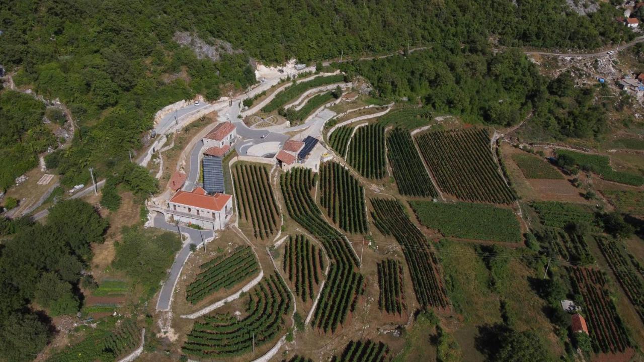 Markovic Winery And Estate Apartments 采蒂涅 外观 照片