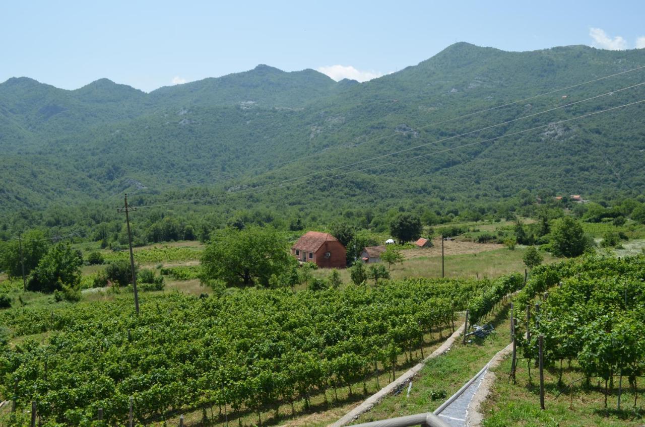 Markovic Winery And Estate Apartments 采蒂涅 外观 照片