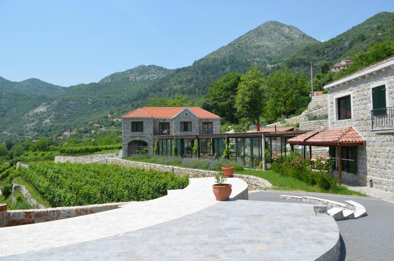 Markovic Winery And Estate Apartments 采蒂涅 外观 照片